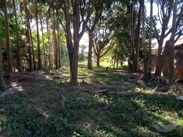 Imagem 6: Florianópolis - Terreno Padrão - Ribeirão da Ilha