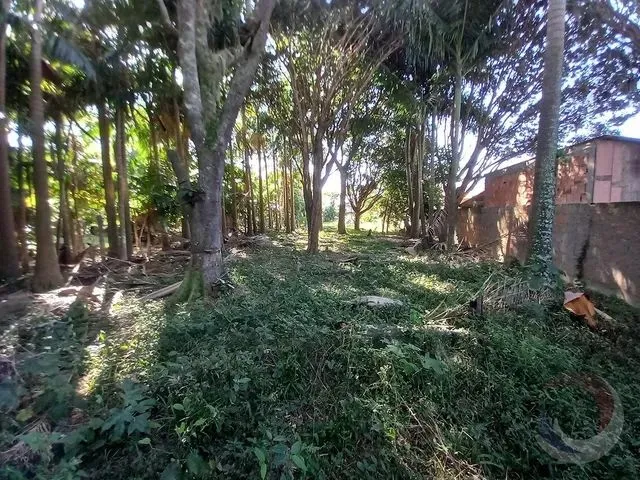 Imagem 13: Florianópolis - Terreno Padrão - Ribeirão da Ilha