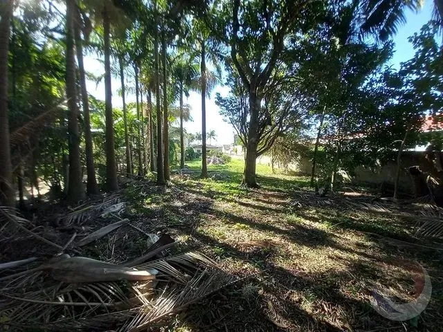 Imagem 7: Florianópolis - Terreno Padrão - Ribeirão da Ilha