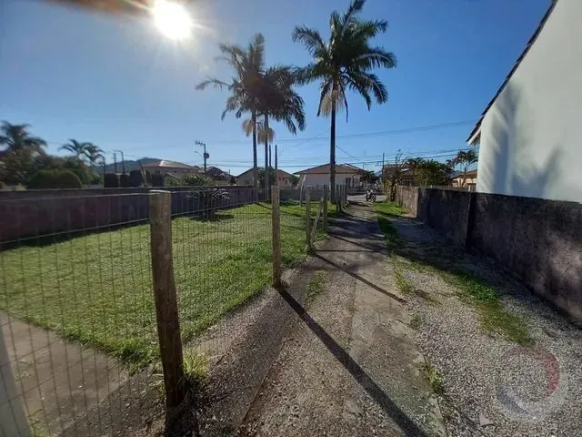 Imagem 12: Florianópolis - Terreno Padrão - Ribeirão da Ilha