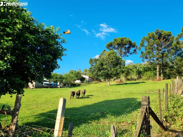 Imagem: Área de Terras - Bairro Floresta - Estância