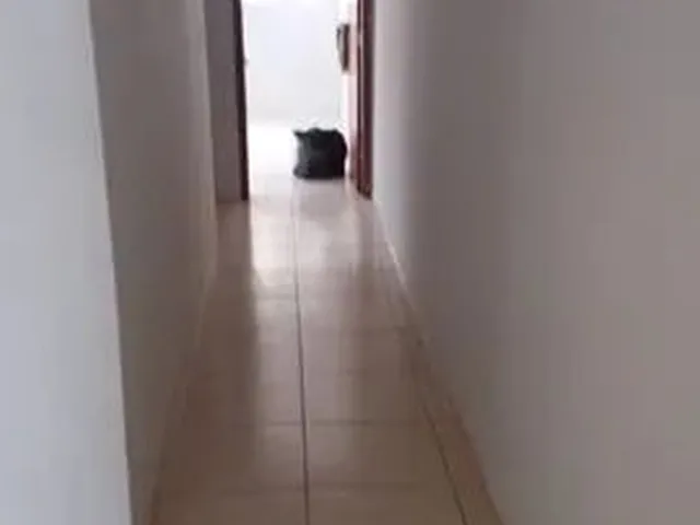 Imagem 11: Alugo Casa no Jd Alvorada