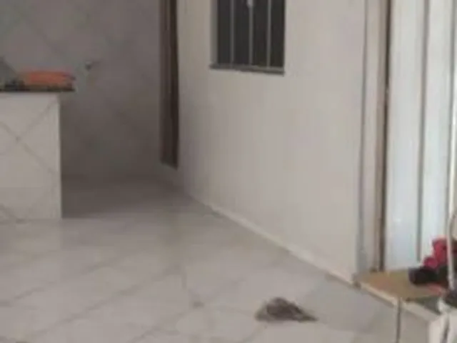 Imagem 4: Aluga-Se Casa no Bairro Osmar Cabral