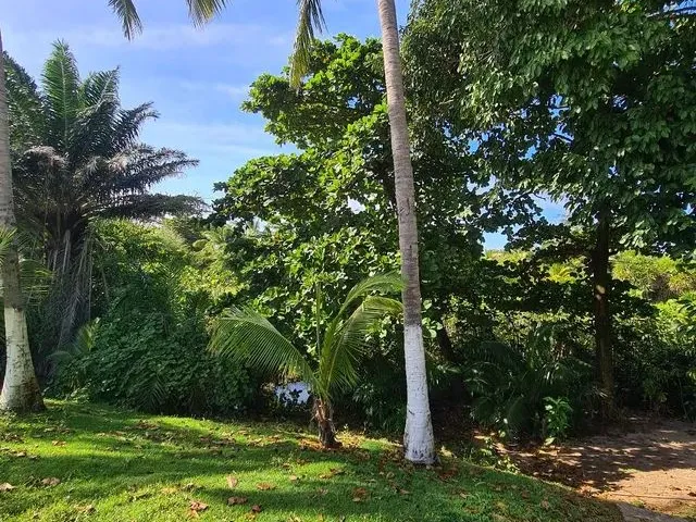 Imagem 8: Casa Cond.3/4(2 Suítes)+Dependência Completa