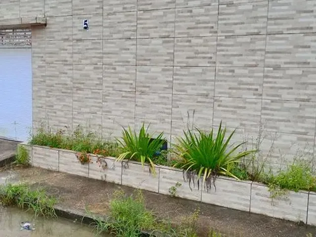 Imagem 12: Alugo Casa Denison Amorim - Marechal Deodoro
