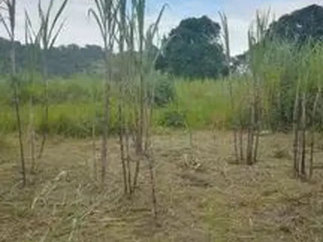 Imagem: Terreno