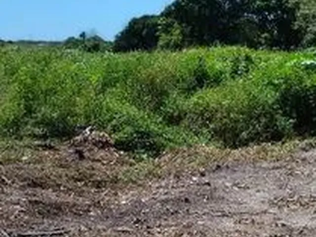 Imagem: Terreno no Icaraí/Caucaia, 8.000Mts2!!!