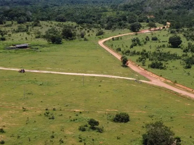 Imagem: Oportunidade 921 Alqueires em Goiatins-To
