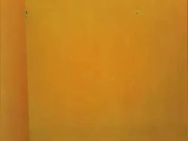 Imagem 6: Casa com 2 Quartos, 1 Banheiro, Sala, Cozinha, Varanda e Área de Serviço. Localizada Na