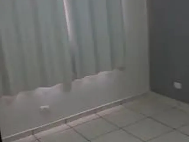 Imagem 13: Alugo Apartamento Rua Manaus