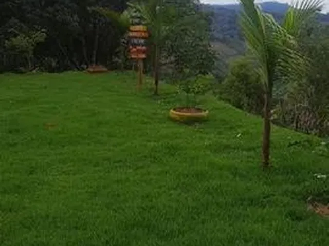 Imagem 2: Chácara em Marechal Floriano