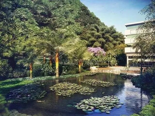 Imagem 8: Florianópolis - Conjunto Comercial/Sala - Saco Grande
