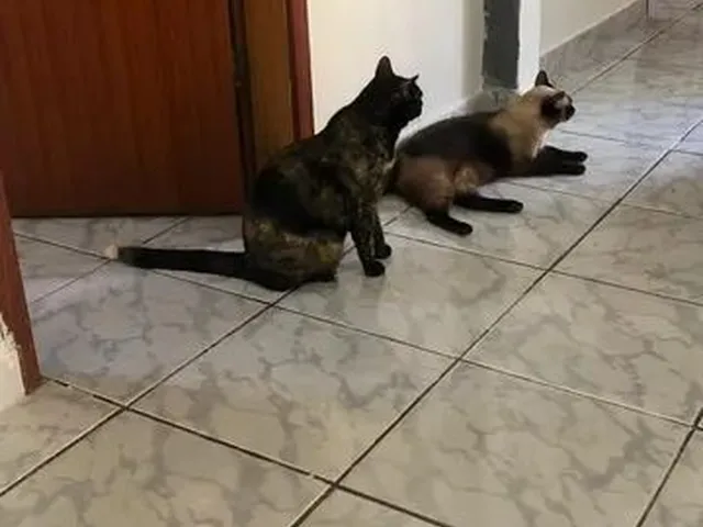 Imagem 3: Casa em santa Inês - Vila Velha, Es