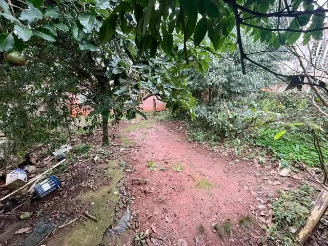 Imagem 10: Um Terreno com Uma Casa Simples