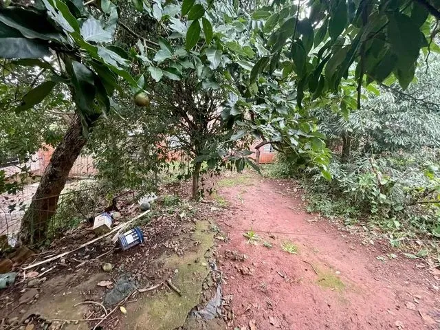 Imagem 6: Um Terreno com Uma Casa Simples