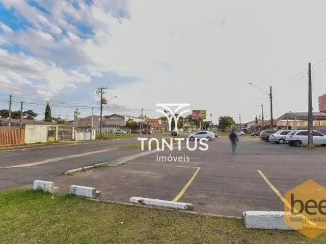 Imagem 8: Kitnet com 1 Dormitório para Alugar, 30 M² por R$ 800/Mês - Cajuru - Curitiba/Pr
