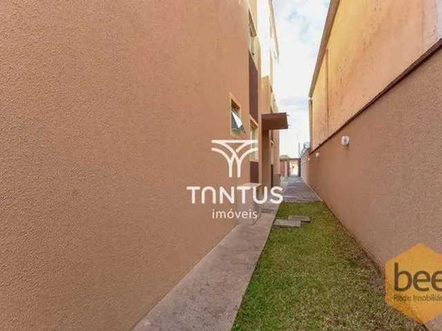 Imagem 6: Kitnet com 1 Dormitório para Alugar, 30 M² por R$ 800/Mês - Cajuru - Curitiba/Pr