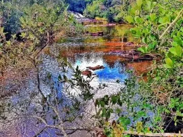 Imagem: Fazenda de 198 Ha Toda Margeada pelo Rio