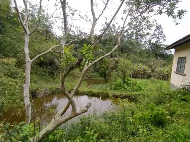 Imagem 4: Sítio À Venda em Antônio Carlos/Sc