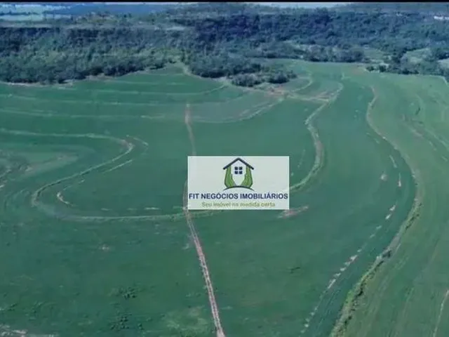 Imagem: Fazenda santa Helena 104 Alqueires em Prata