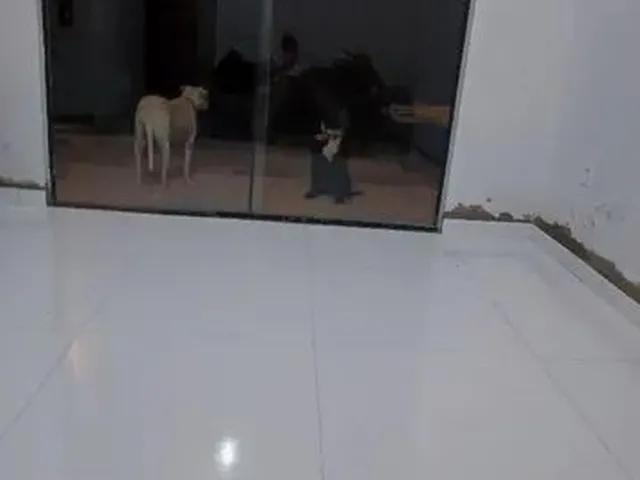 Imagem: A casa possui 2 Dormitórios, 2 Banheiros, 2 Vagas na