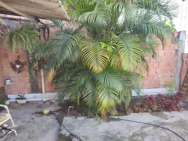 Imagem 11: Casa com 2 Suíte e Terreno 9X26 /Água Claras.