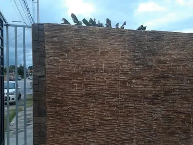 Imagem 7: Casa com 2 Suíte e Terreno 9X26 /Água Claras.