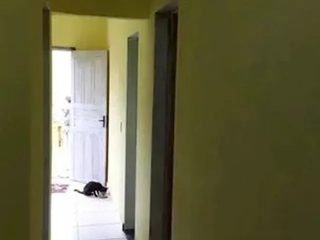 Imagem 11: Ag01 Vendo Casa Linda em Feu Rosa Serra