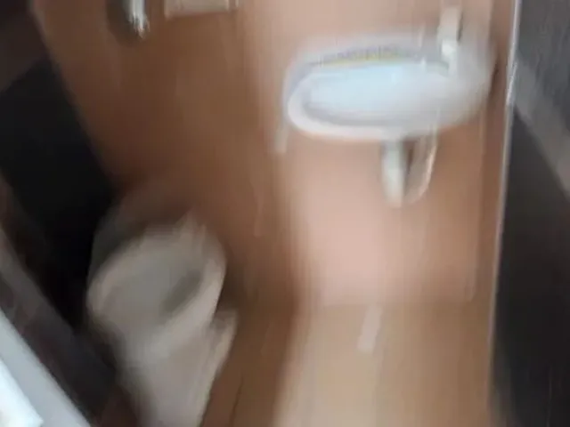 Imagem: Barracão de Fundos com 3 Quartos, Sala
