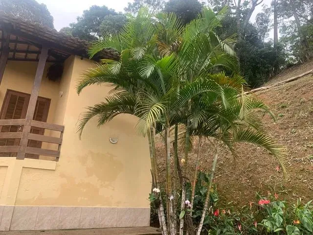 Imagem 13: Chácara em Soído de Baixo