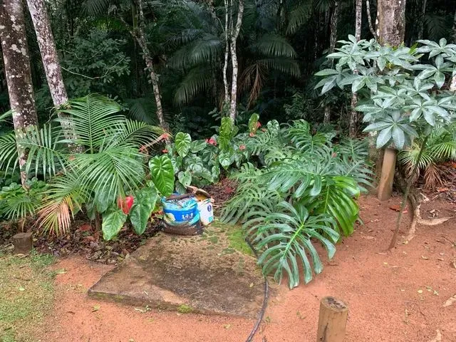 Imagem 5: Chácara em Soído de Baixo
