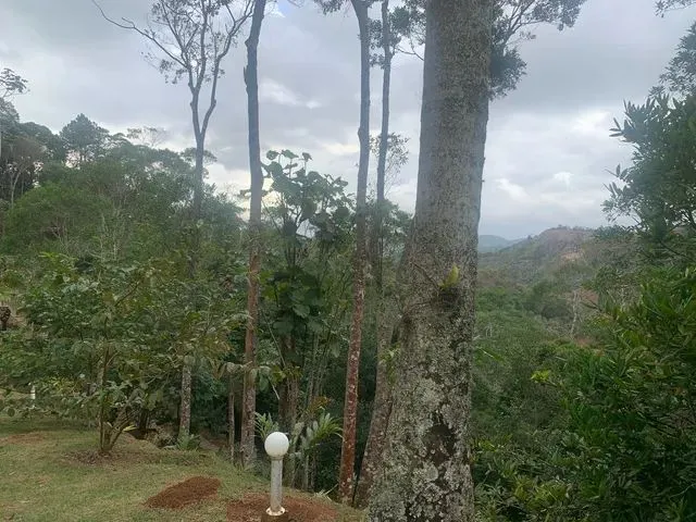Imagem 8: Chácara em Soído de Baixo