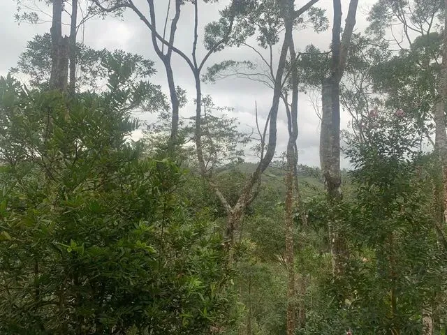 Imagem 7: Chácara em Soído de Baixo