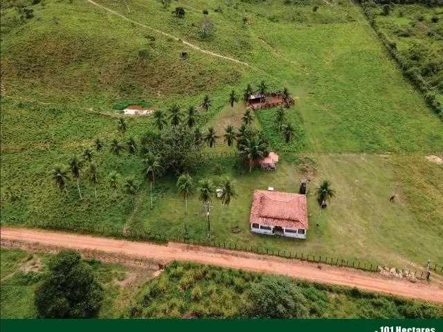 Imagem: Fazenda À Venda em Catu Fazenda de Pecuária
