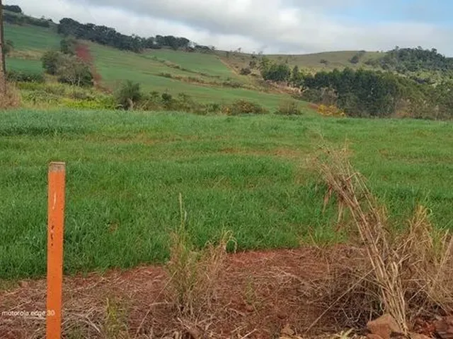 Imagem: Sitio de 5 Alqueiro Planta 4 Regiao de Asai-Pr
