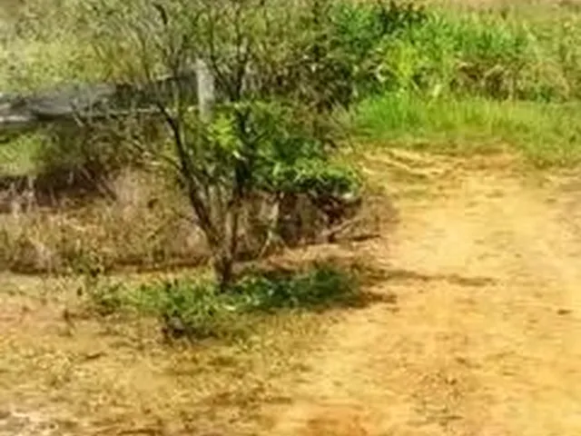 Imagem: Sítio em Mutum