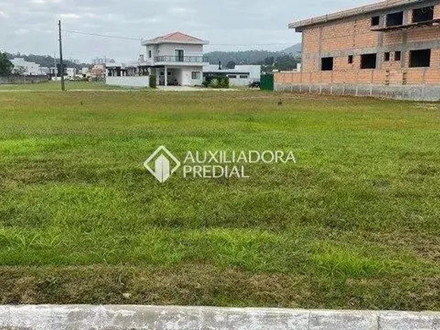 Imagem: Camboriú - Terreno Padrão - santa Regina