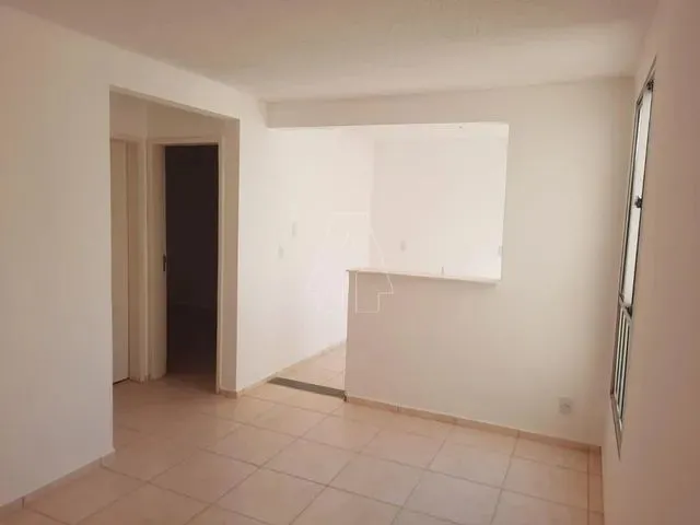 Imagem: Araçatuba - Apartamento - Umuarama