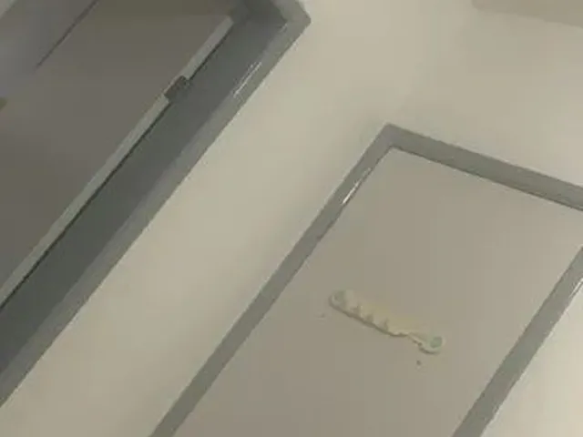Imagem 1: Aluguel de Quarto