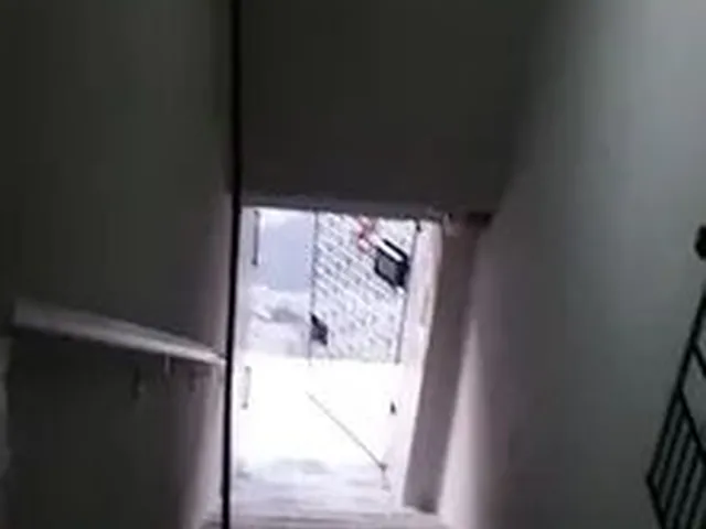 Imagem: Casa para Alugar no Montese