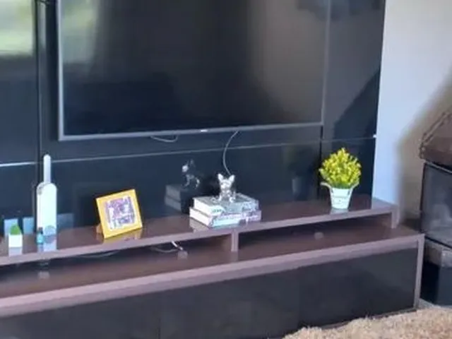 Imagem 7: Aluga Casa com 4 dormitórios