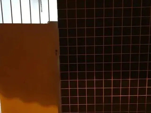 Imagem: Casa pra Alugar