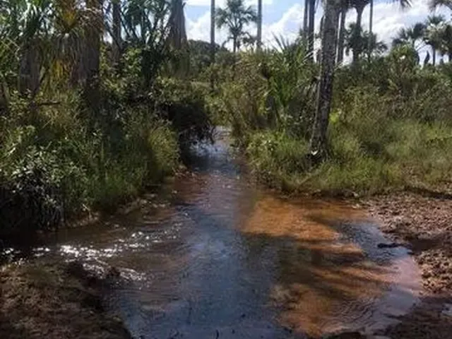 Imagem: Vendo Fazenda Pacary