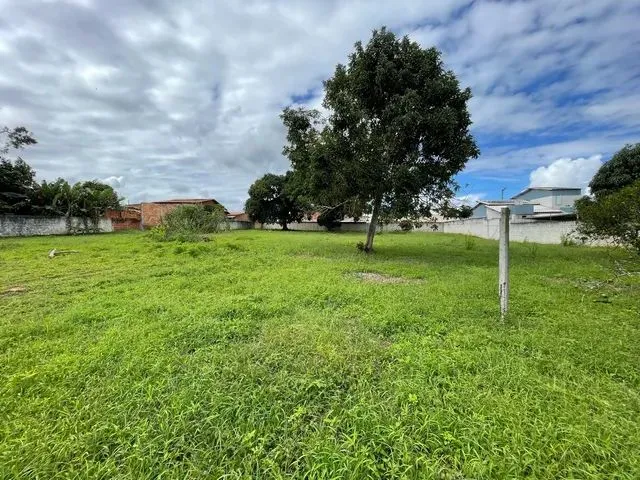 Imagem 3: Excelente Terreno de 2580 M2 na Rua 8 de Dezembro