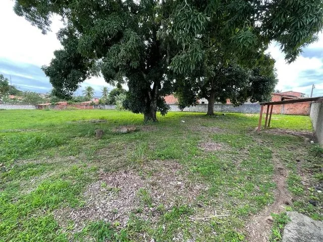 Imagem 2: Excelente Terreno de 2580 M2 na Rua 8 de Dezembro
