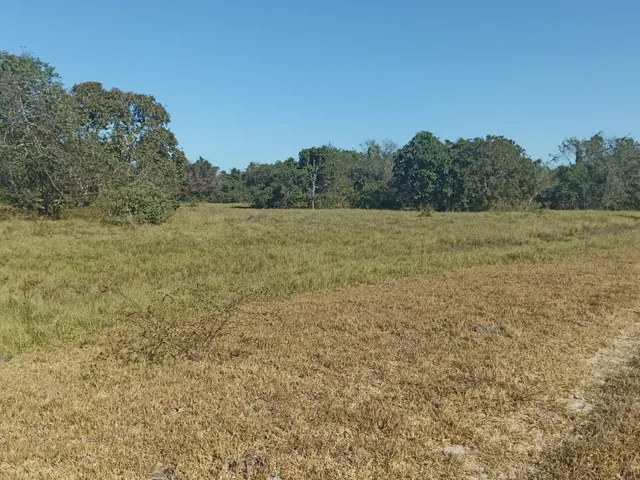 Imagem: Fazenda Município Cocalinho 1156 Alqueires!