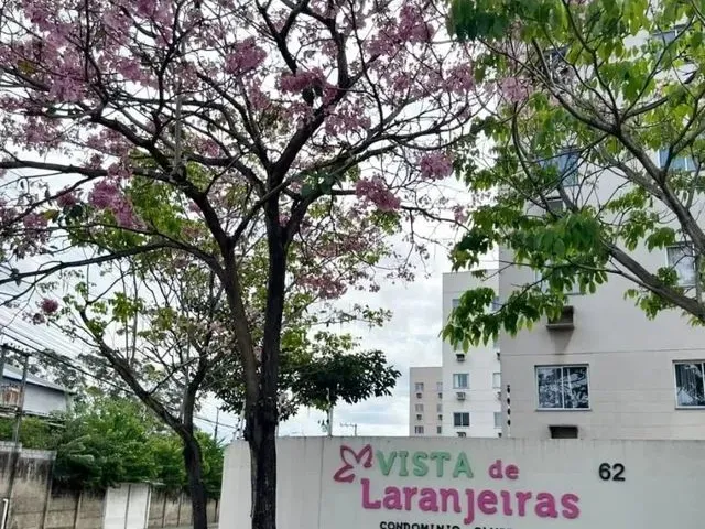 Imagem: 01 - Vista de Laranjeiras