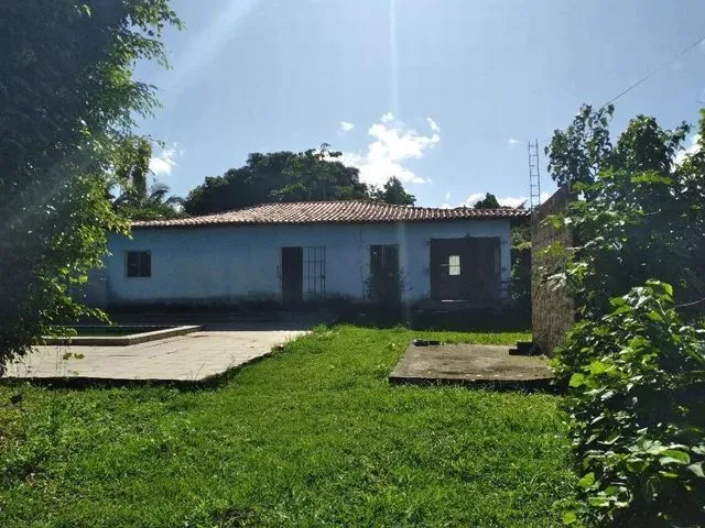 Imagem: Ótima Fazenda/Sítio/Chácara para Venda