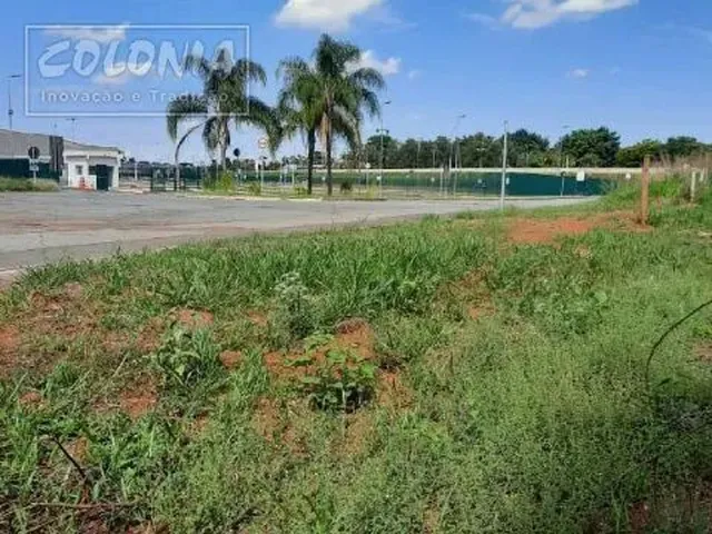 Imagem: Limeira - Terreno Padrão - Graminha