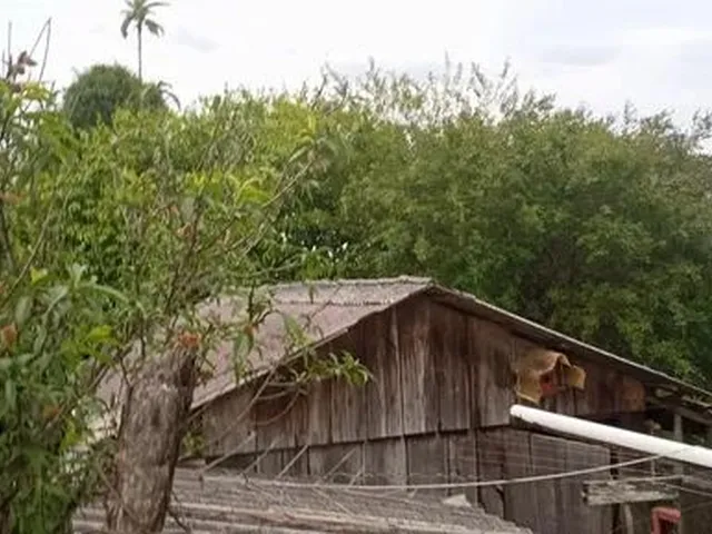Imagem: Casa com Terreno Grande em Ponte Serrada